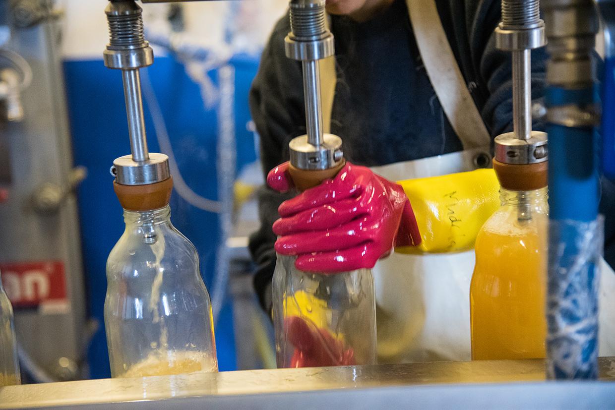 Abfüllen von Apfelsaft in der Lohnmosterei in Ganzlin.