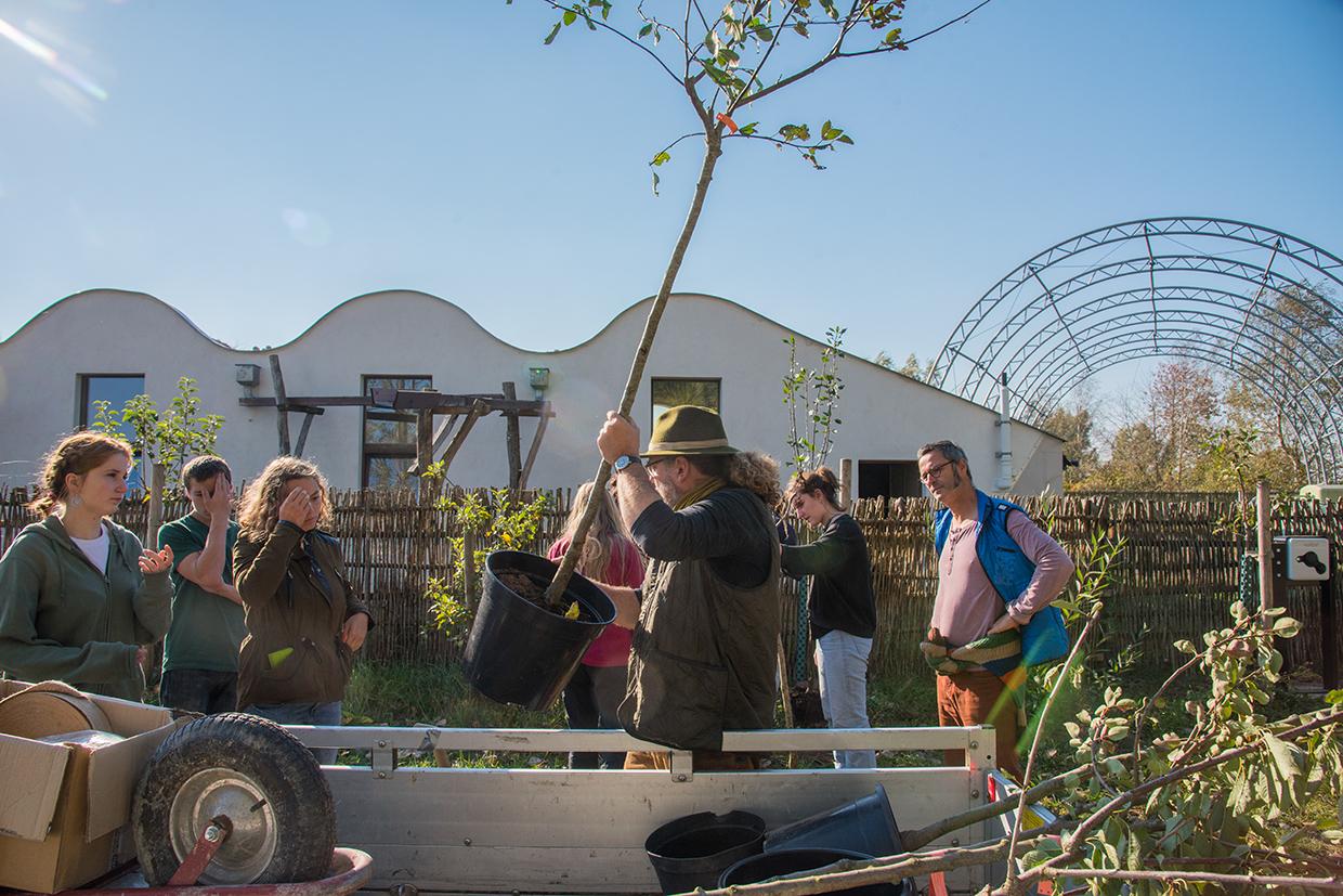 Beim Workcamp Obstmanufaktur werden Obstbäume gepflanzt.
