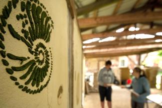 Wandgestaltung mit natürlichen Materialien beim Wangeliner Workcamp "Tattoos an der Wand"